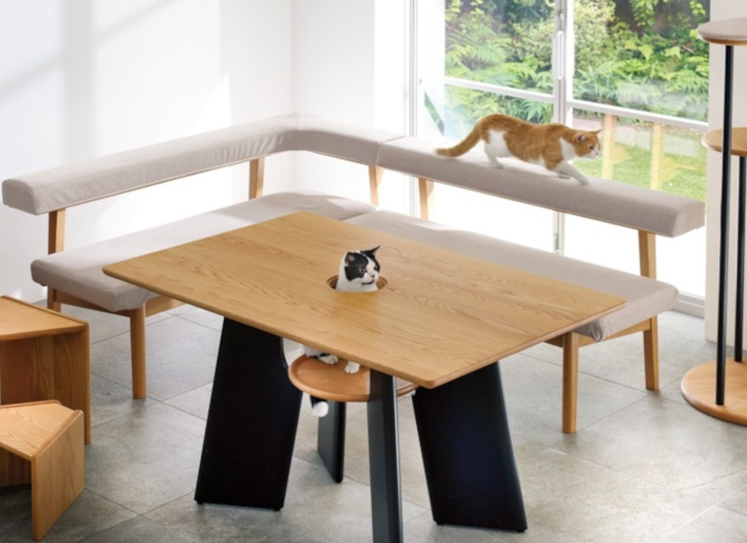 猫がテーブルからひょっこり ペットと楽しく暮らすためのおしゃれ家具 ファッション雑誌 リンネル の読みもの