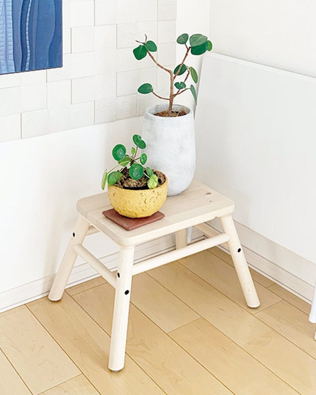 セリアやニトリで買える！ 整理収納アドバイザー・shiroiro.home aki