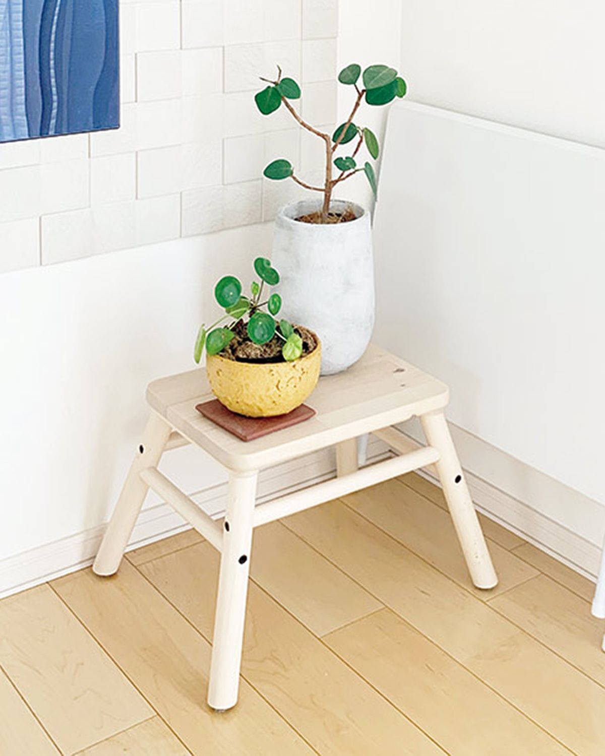 セリアやニトリで買える！ 整理収納アドバイザー・shiroiro.home aki