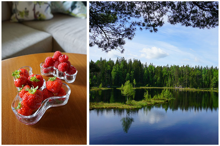 写真左「Iittala」（イッタラ）のアルヴァ・アアルトコレクションのボウル 写真右 フィンランドの湖