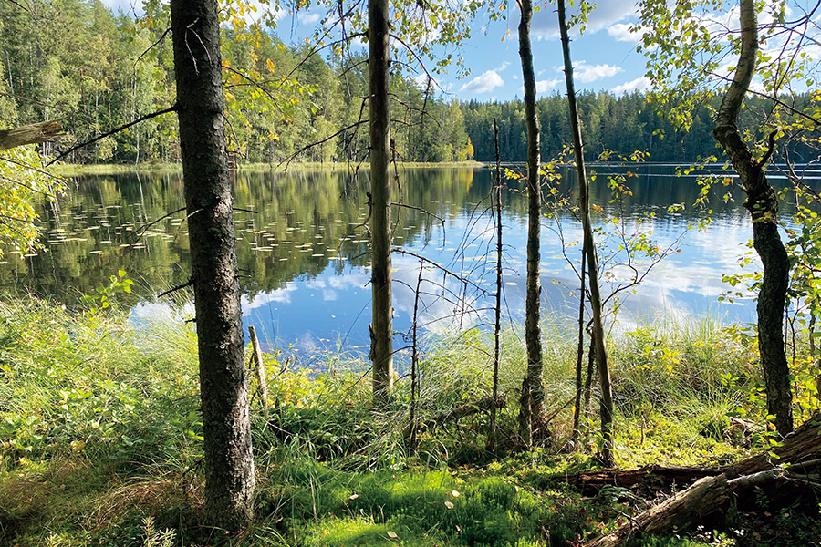 フィンランドの湖と森