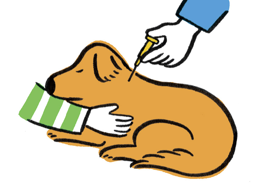 ペット防災　ワクチン