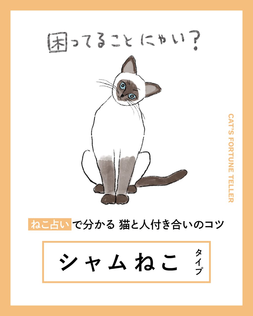 ねこ占い、シャムねこ