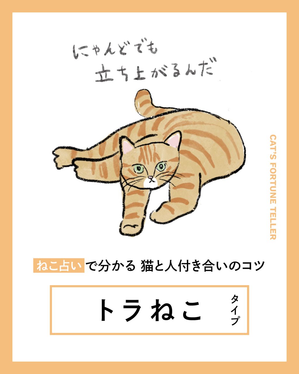 ねこ占いトラねこタイプの基本の性格と相性、人付き合い