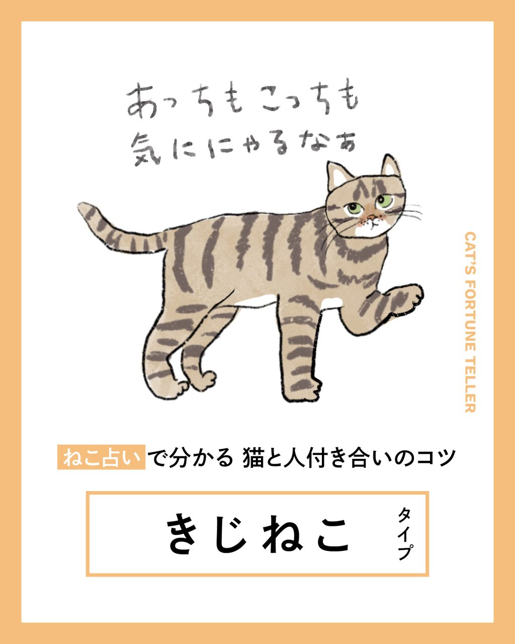 【ねこ占い】 キジねこタイプの猫＆人付き合いのコツと相性は？
