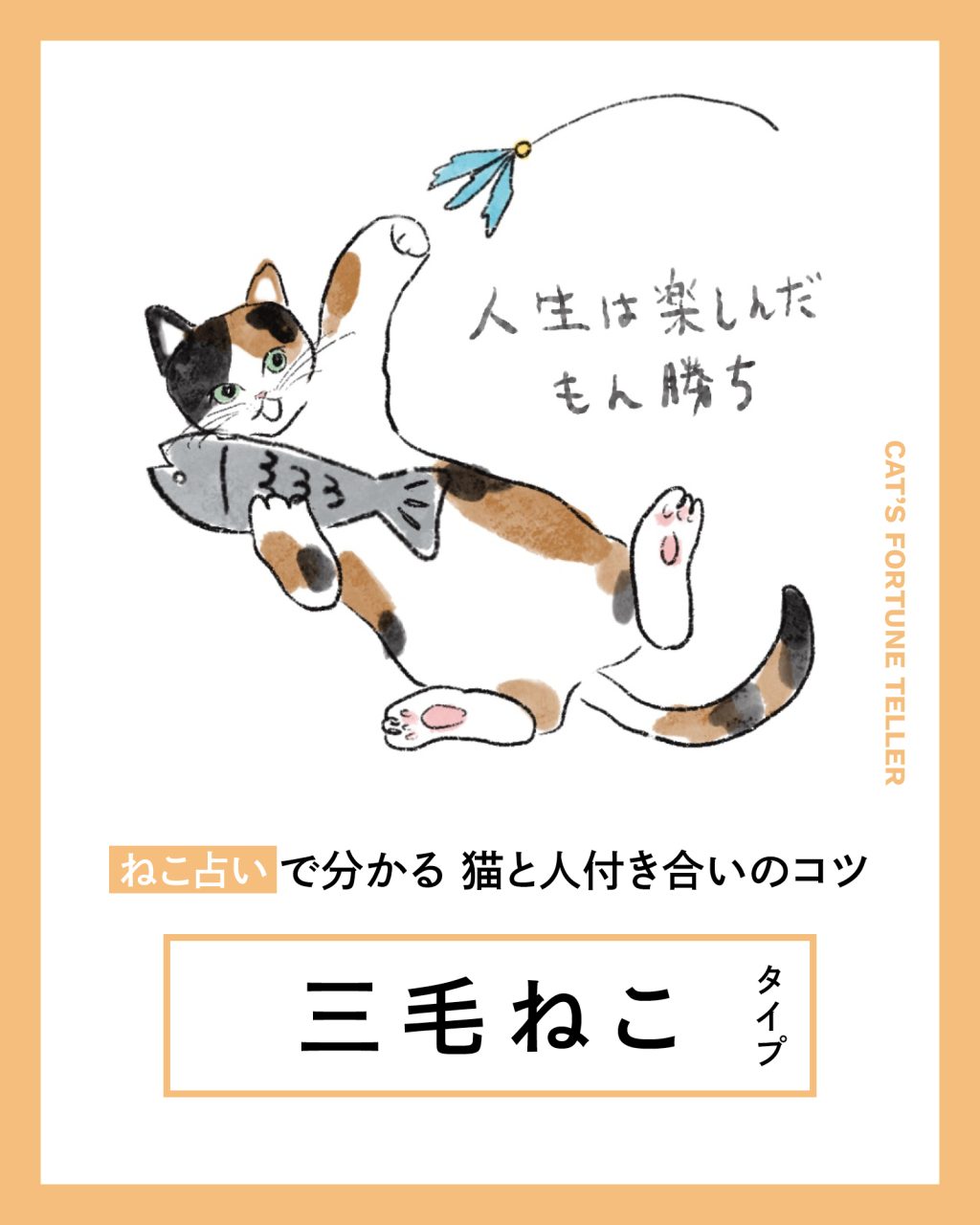 【ねこ占い】 三毛ねこタイプの猫＆人付き合いのコツと相性は？