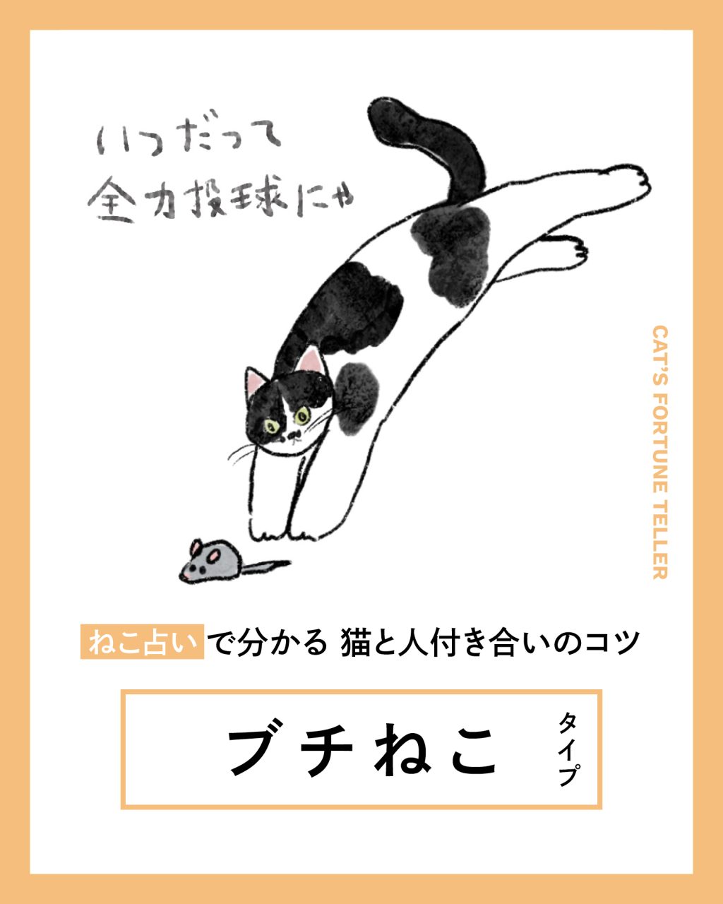 【ねこ占い】 ブチねこタイプの猫＆人付き合いのコツと相性は？