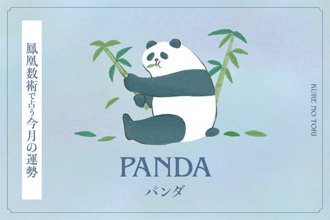 【鳳凰数術で占う今月の運勢】＜パンダタイプ＞
