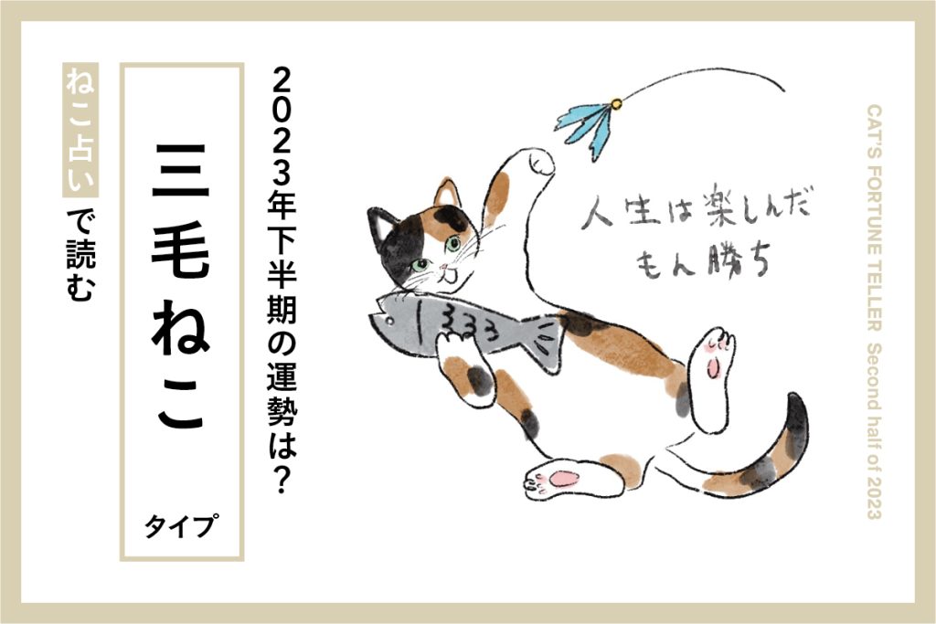 三毛ねこ　ねこ占い