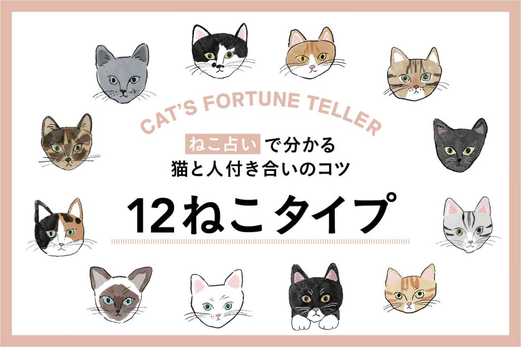 本能の自分を知る「ねこ占い」