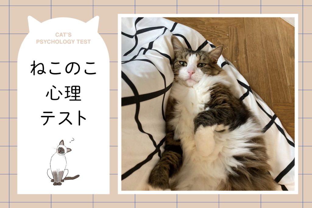 深層心理を読む「ねこのこ心理テスト」