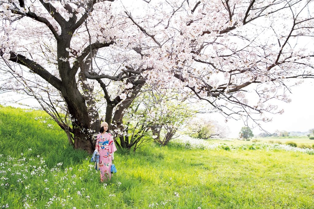 帯と帯留めにバラ、ここぞとばかりに花づくし。：【吉田羊さんの着物と12のアソビゴコロ】