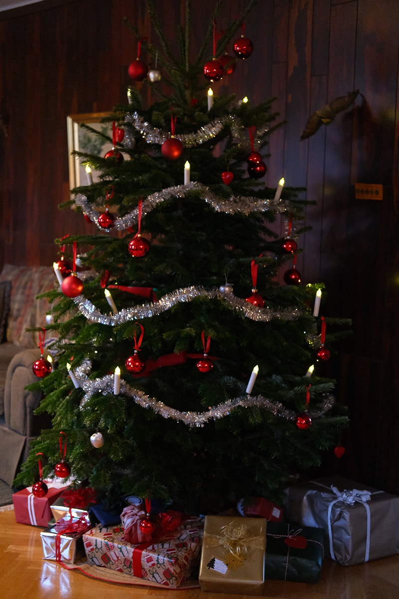 生の木を使うクリスマスツリー