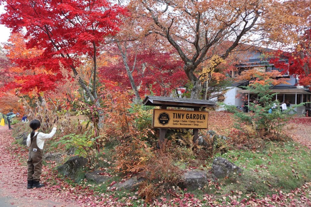 長野県のタイニーガーデン蓼科の紅葉シーズン