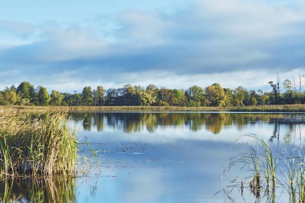 【リトアニアの自然満喫旅】 美しい湖畔と森が贈る、心地よいリフレッシュスポットはここ！