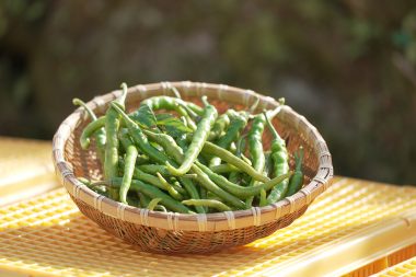 形が虎のしっぽに似ている青唐辛子「虎の尾」