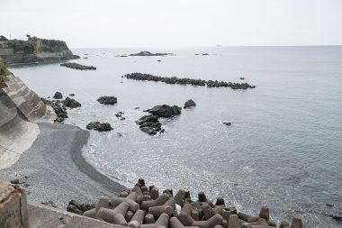 波切という地域は、かつて伊勢神宮への献上物であるかつお節の一大生産地でした