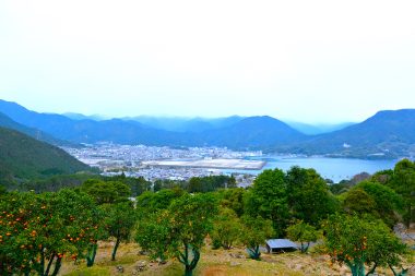 尾鷲市向井地区は、自然豊かな里山の風景がある場所です