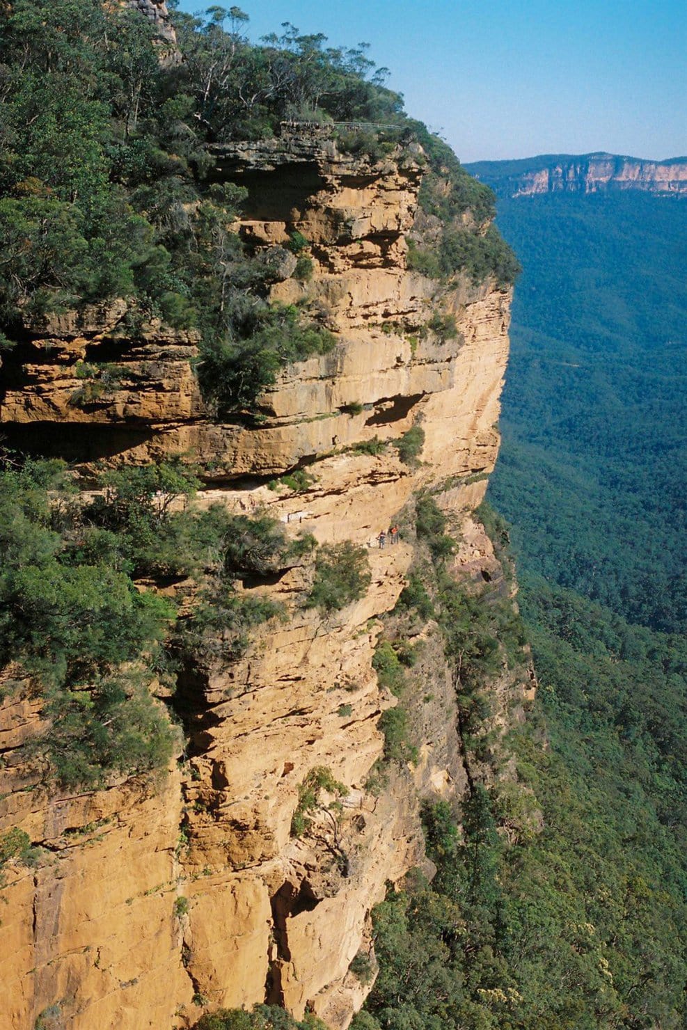【シドニーの旅案内】 壮大な自然を感じる山登り！：モデル・道木マヤのオーストラリア旅 第2回