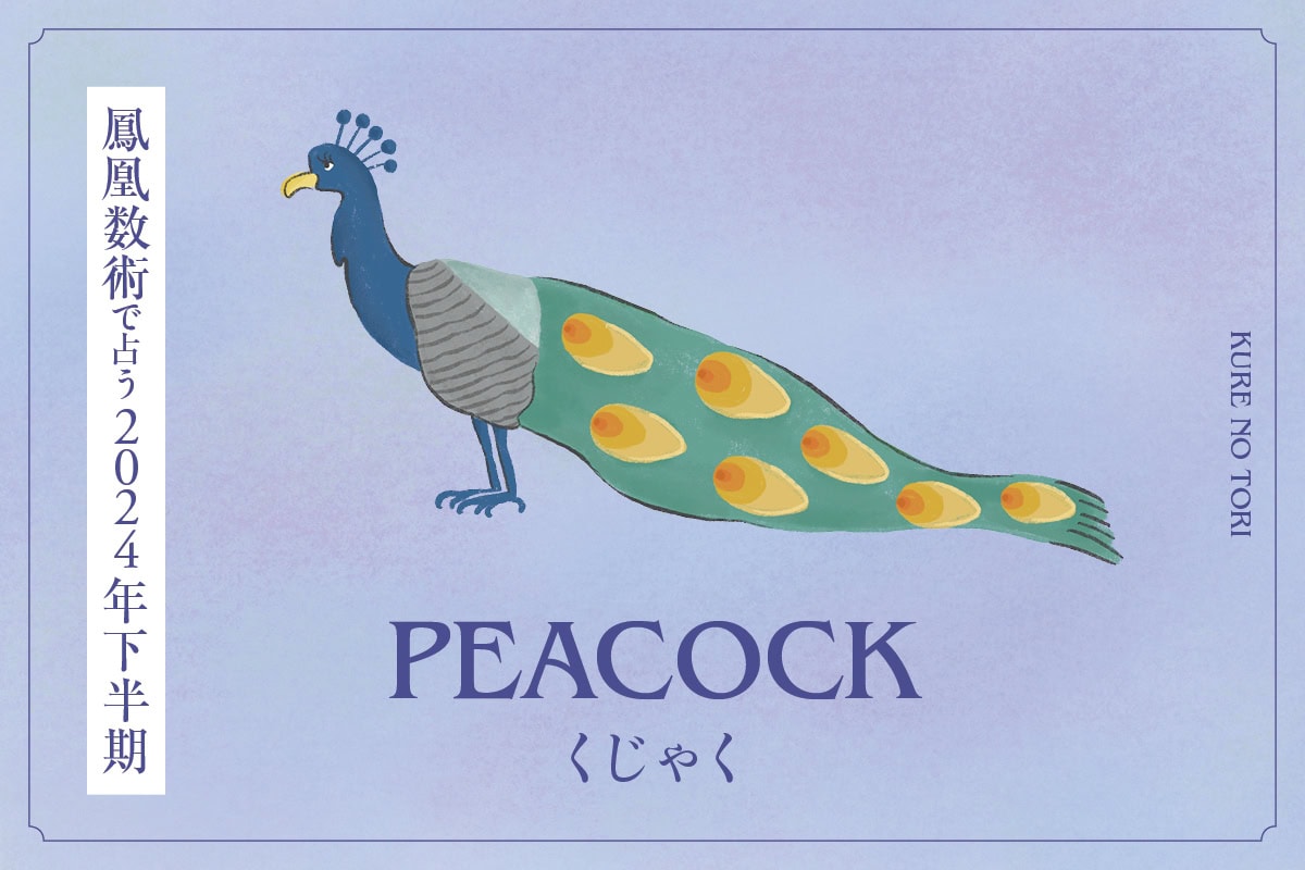 孔雀 14連 土台 リクウ 鳳凰数術で占う2024年下半期】 ＜孔雀タイプ＞の運勢は