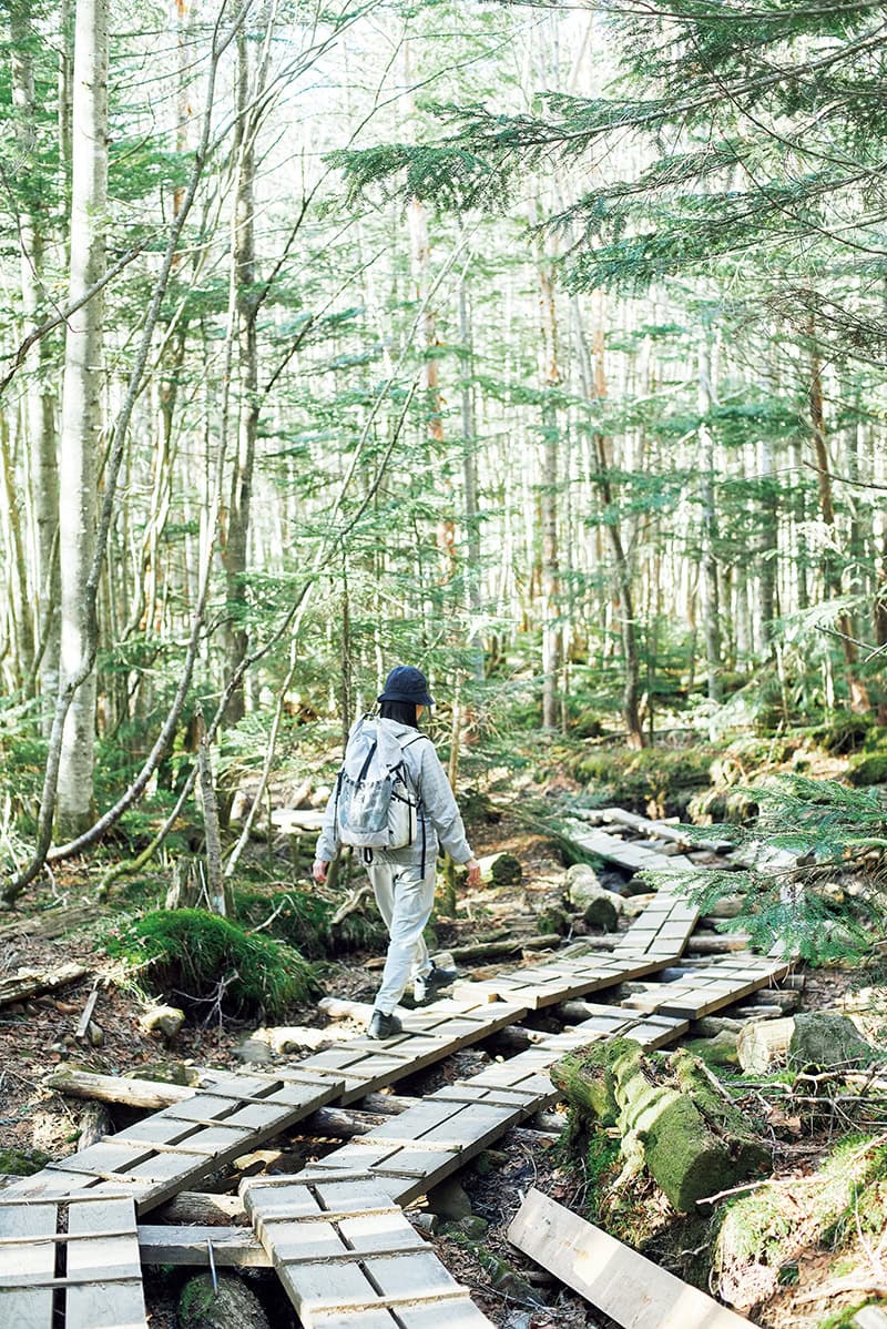 少しゆるやかな道で登山口へ戻る