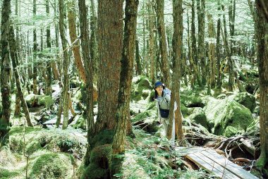 「もののけの森」で苔さんぽ