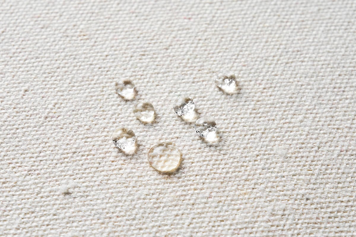 【MonoMax 付録】コールマンのビッグトートは、撥水加工が施されているので、アウトドアやレジャーで大活躍！
