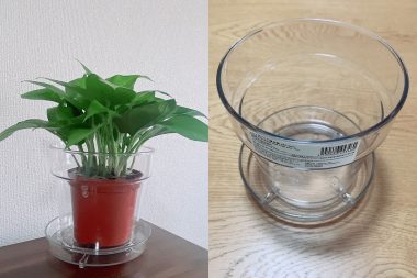 Standard Products（スタンダードプロダクツ）のおすすめ　透明植木鉢カバー