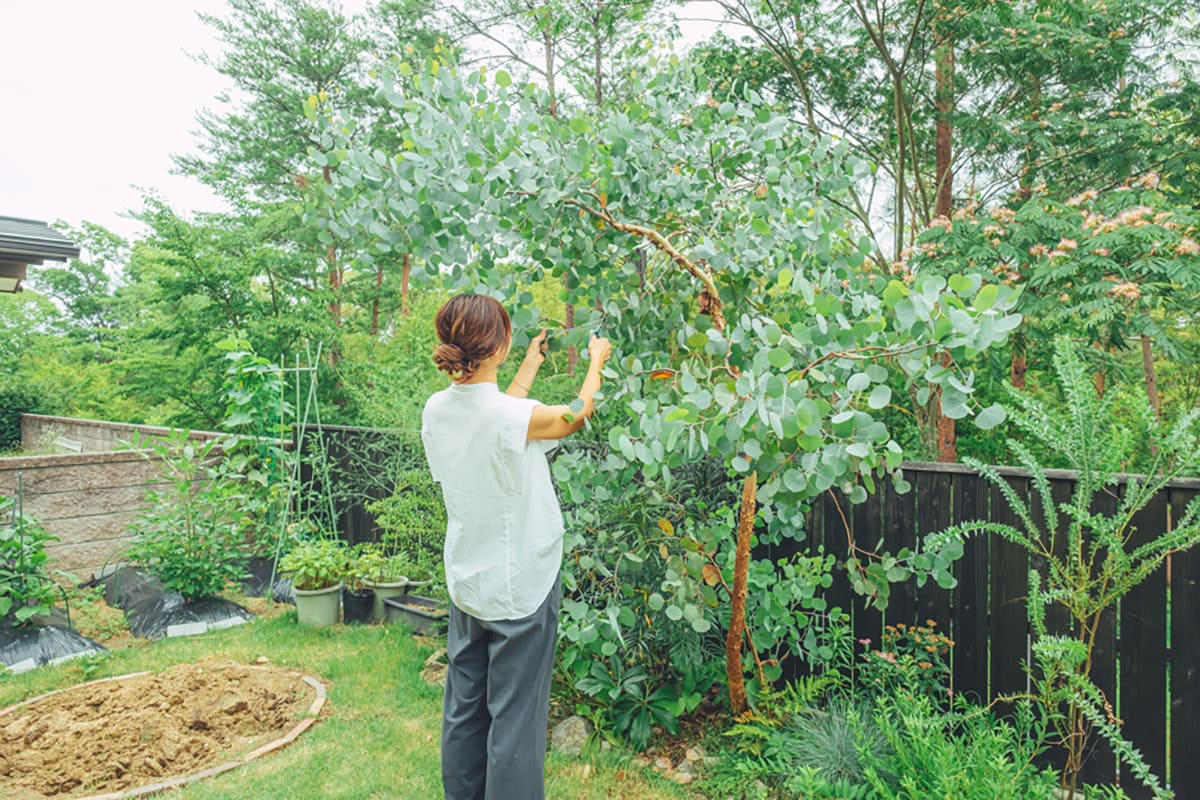 【素敵なおうち訪問】 自分たちの手で育てていける住まいに