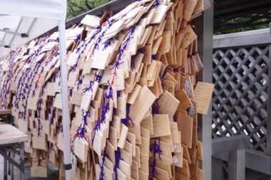 湯島天満宮の絵馬は圧巻！ 合格祈願が他の神社の何倍もの数で吊るされています。