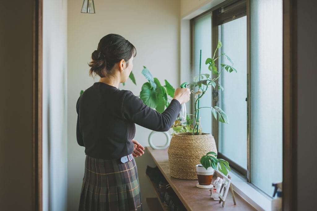 玄関の下駄箱の上は、外からの自然光が入るため植物も楽しめる空間に