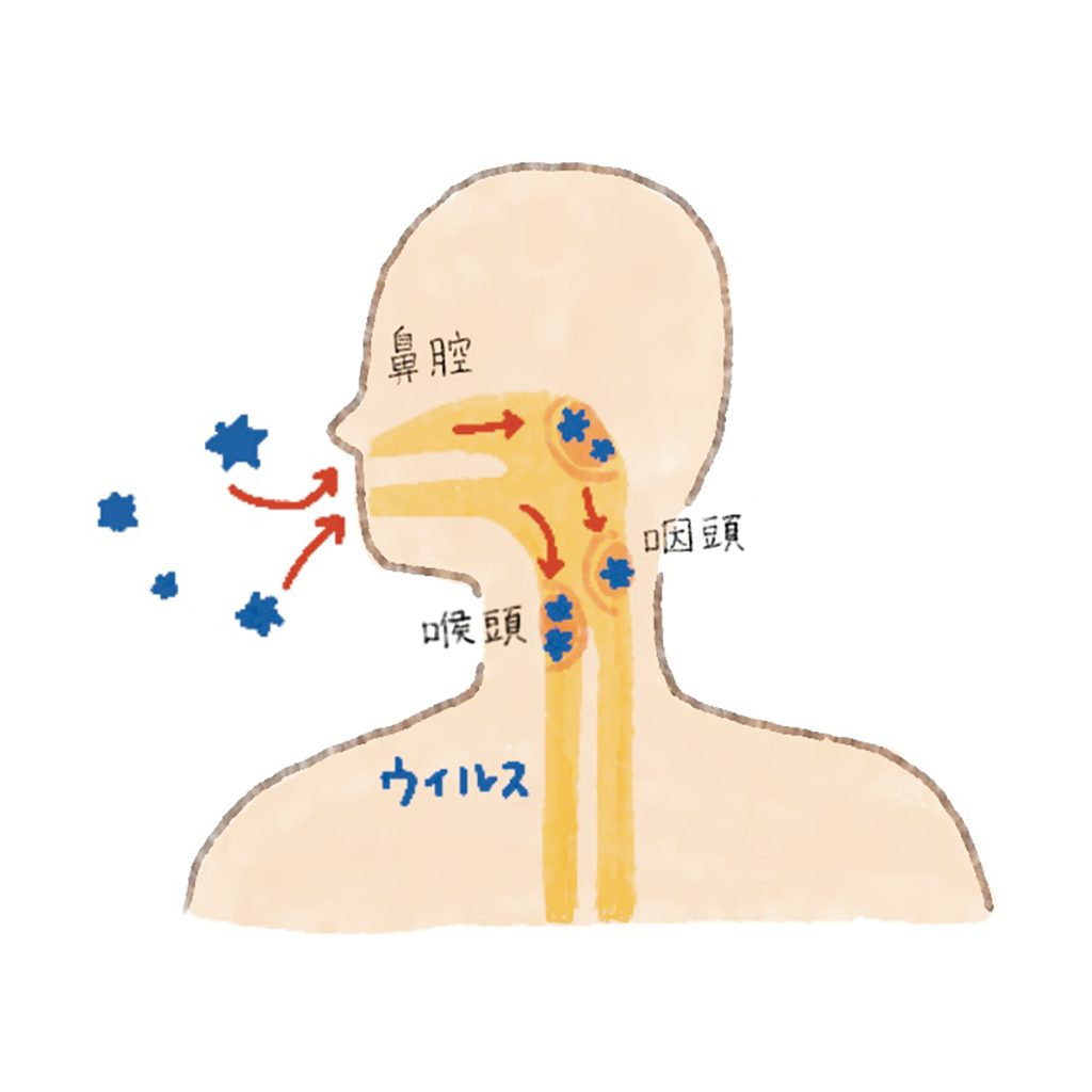 自分の風邪パターンを知って対策を