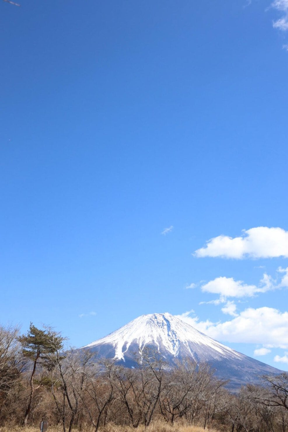 静岡県富士宮市のキャンプ場Fuji Camp Villageの滞在レポ