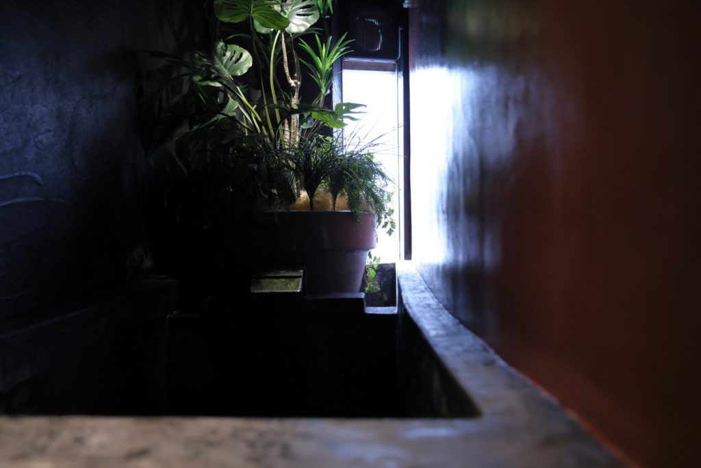 清水