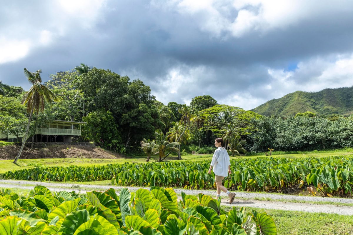 ハワイの新しい体験型旅スポット4選】 アロハスの心に触れる地域活動