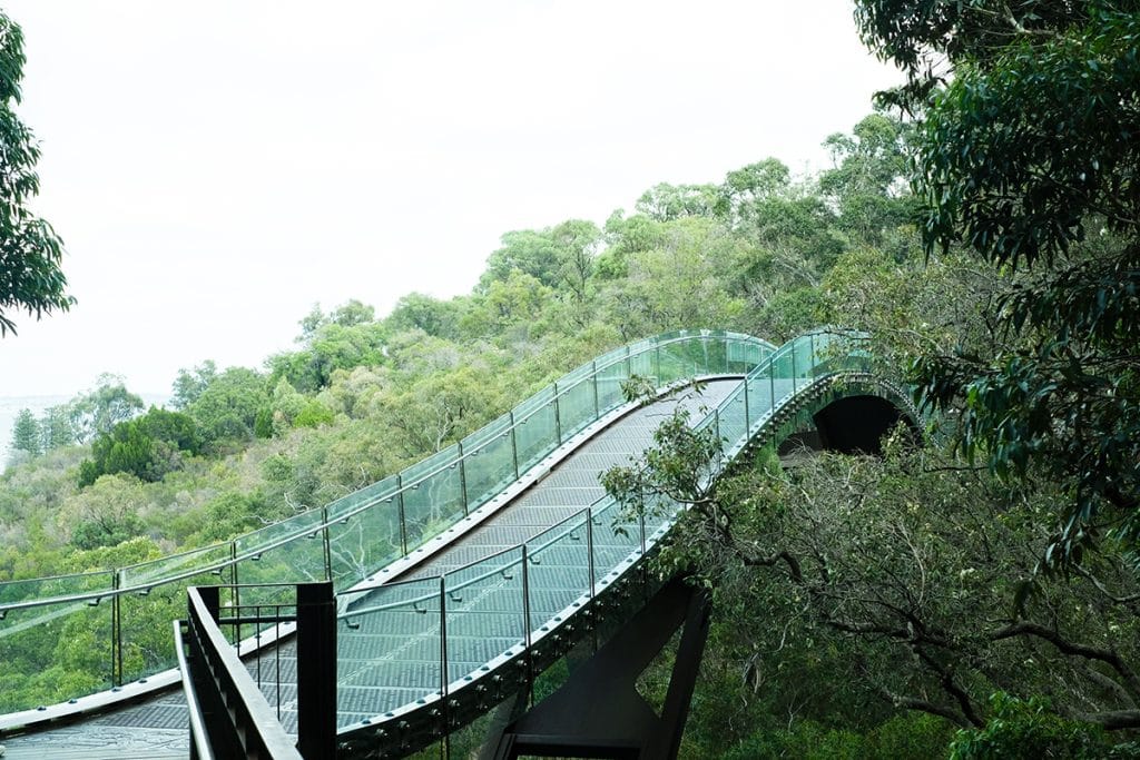 キングスパークの断崖からスワン川を跨いで対岸へと伸びる空中回廊、ロッタリーウェスト・フェデレーション・ウォークウェイ