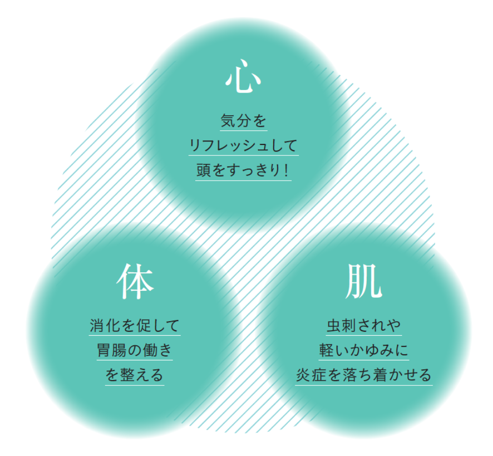 ハッカの効果効能。心・体・肌にもたらす３つのメリット