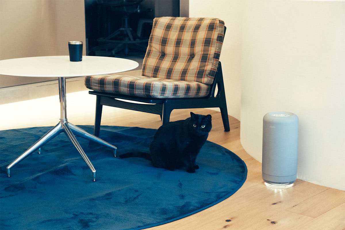 〈カドー〉の除菌脱臭機 SAP003は、長く使っても脱臭力が落ちないのが魅力！