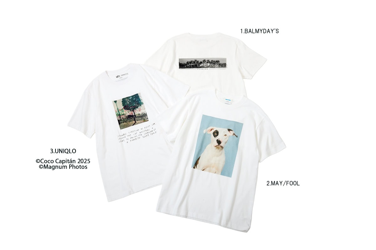 「フォトTシャツ」でおしゃれの鮮度を更新！
