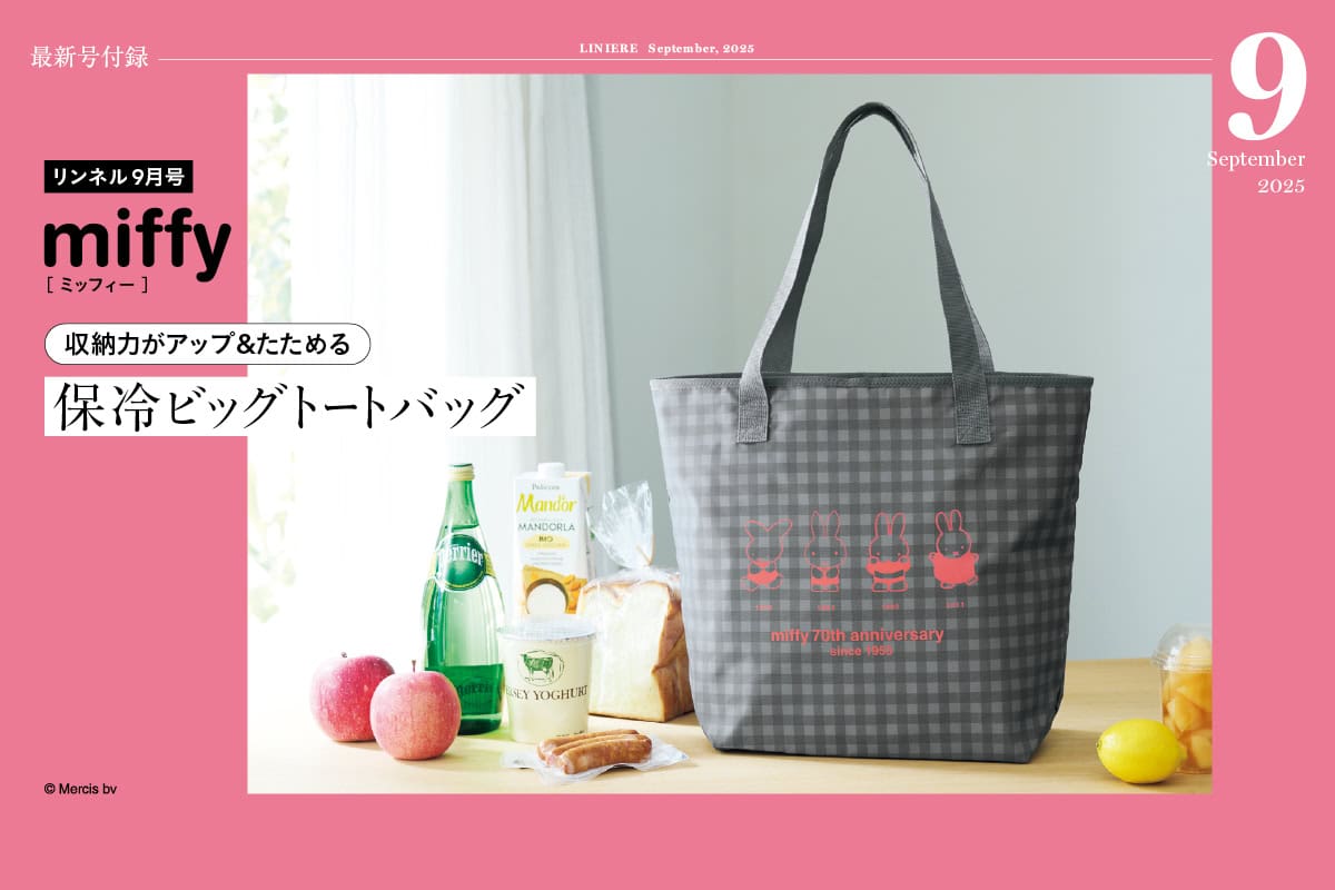 【9月号付録】ミッフィー 収納力がアップ&たためる 保冷ビッグトートバッグ