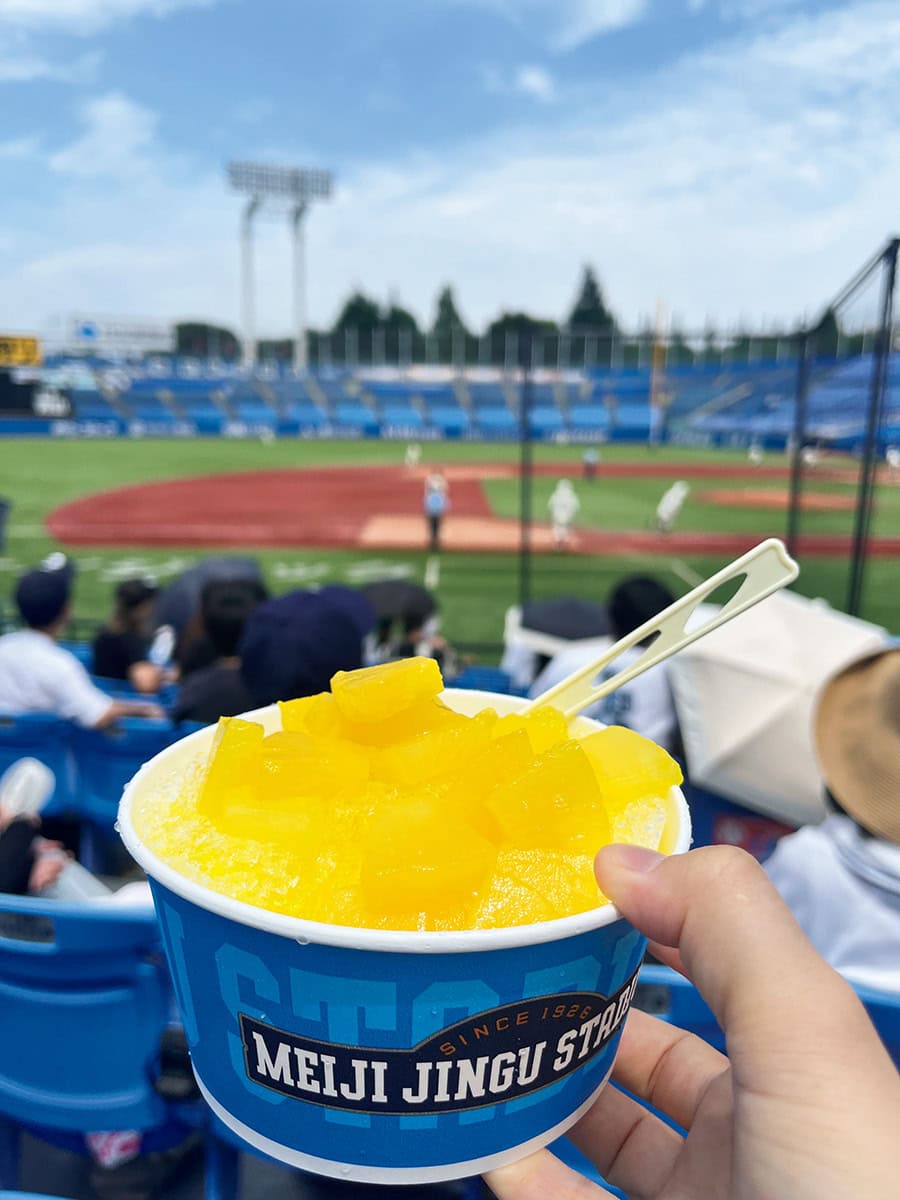 高校野球観戦