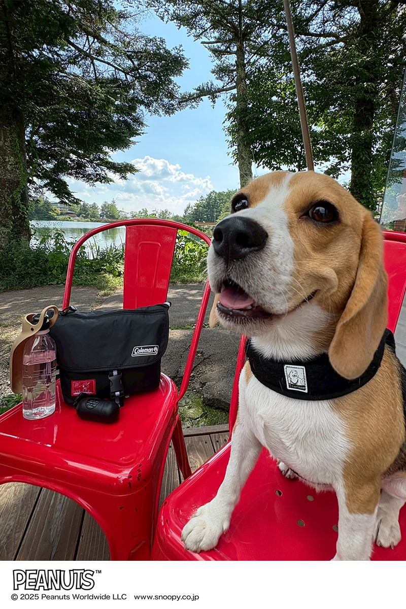 スヌーピー／コールマンのメッセンジャーバッグが愛犬のお散歩に大活躍！【リンネル付録】