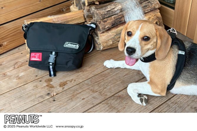 【リンネル10月号】スヌーピー／コールマン付録のメッセンジャーバッグは、愛犬家さんにもおすすめです！激しめビーグル犬とのアウトドア旅に大活躍でした！