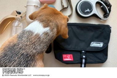 【リンネル付録】スヌーピー／コールマンのメッセンジャーバッグは、愛犬とのお散歩バッグに便利！