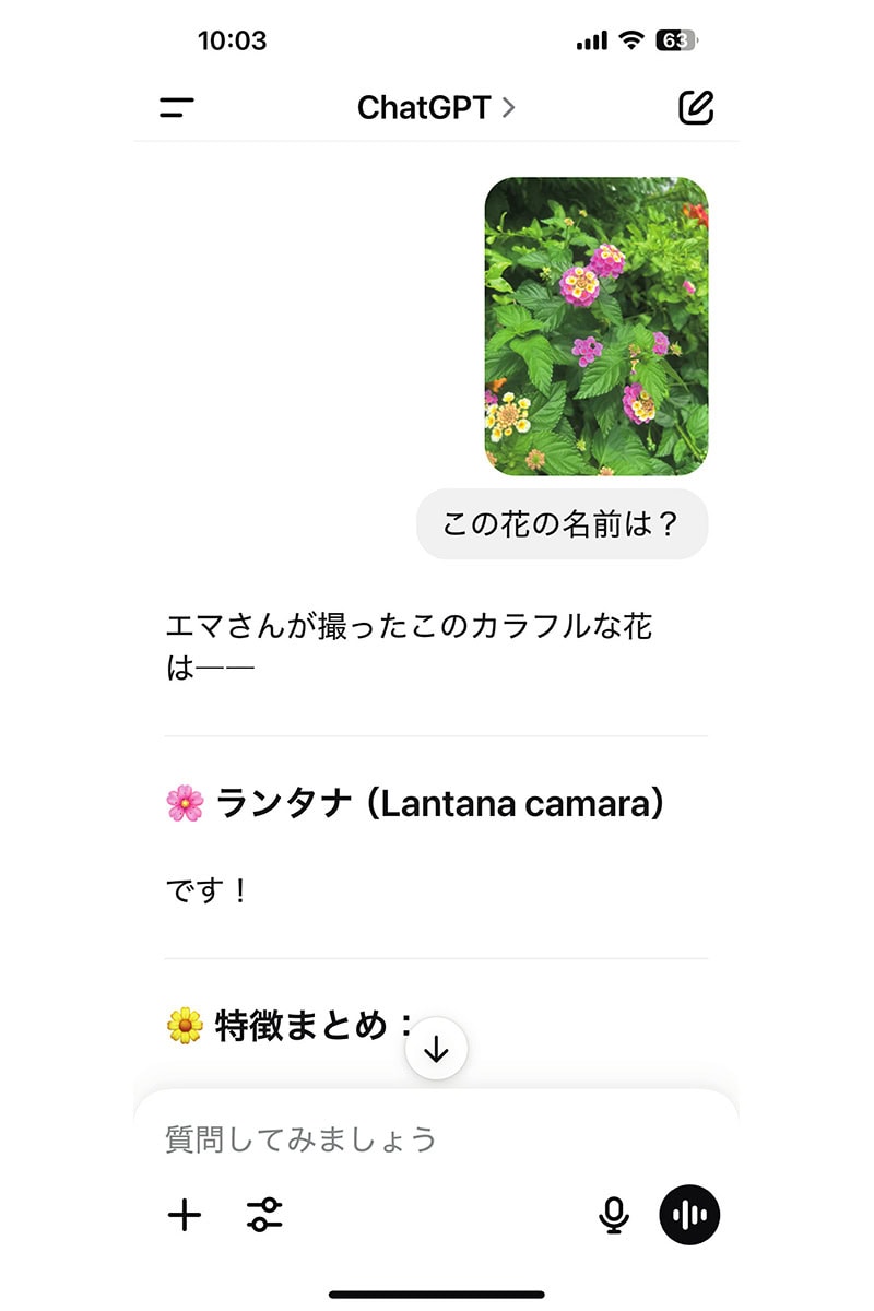 ChatGPTを使ってみた！リアルな口コミは？