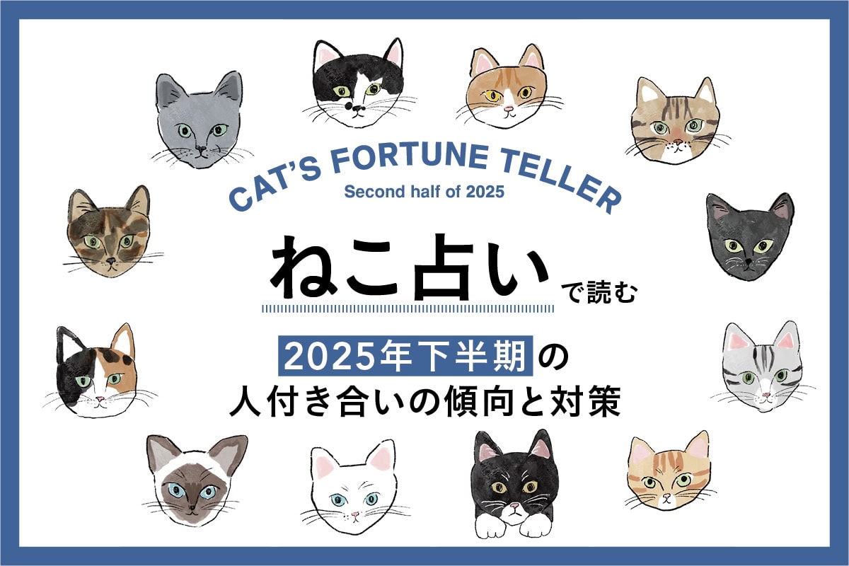 【ねこ占い・2025年下半期の運勢】 今年後半の全体運と人付き合いの心得、そして12種のねこの運命は？