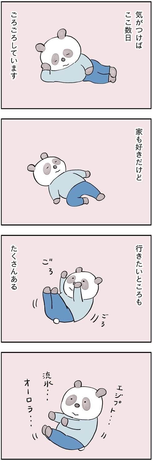 パンダが主役のこやまこいこさんの漫画連載『ぐれいさん』第18話