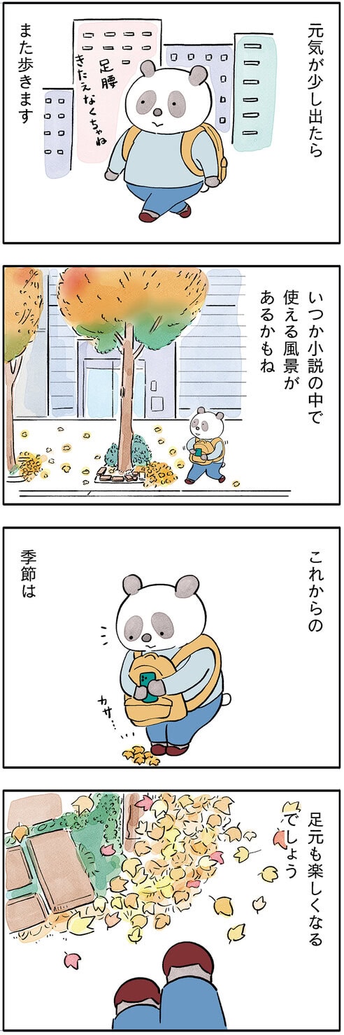 パンダが主役のこやまこいこさんの漫画連載『ぐれいさん』第18話