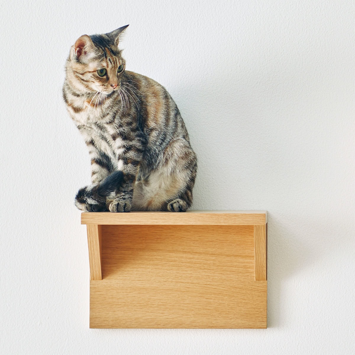 無印良品の壁に付けられる猫用のステップ