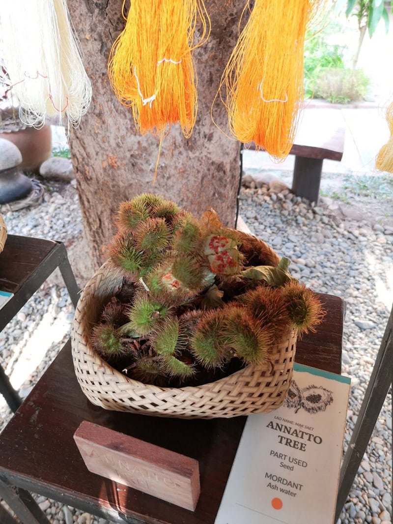 柳沢小実さんラオス旅行記で体験した草木染めの様子